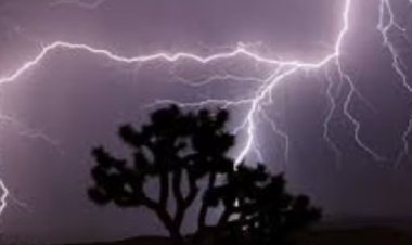 बिहार में आकाशीय बिजली से 13 लोगों की मौत