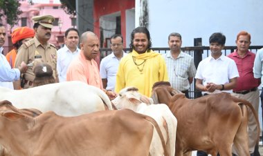 गोरखनाथ मंदिर की गोशाला में मुख्यमंत्री याेगी आदित्यनाथ ने की गोसेवा
