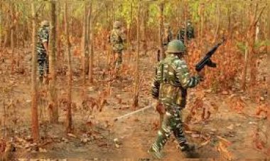 बस्तर आईजी का आधिकारिक बयान- थुलथुली और नेंदुर गांवों के जंगल से अब तक 31 नक्सलियों के शव बरामद