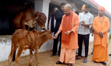 मुख्यमंत्री योगी ने देवीपाटन मंदिर में दर्शन पूजन कर की गौ सेवा 