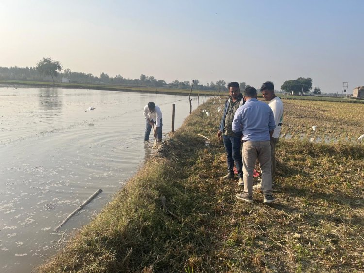 हिंडन नदी का जल स्तर बढ़ने से 200 बीघा आलू व गेहूं की फसल बर्बाद