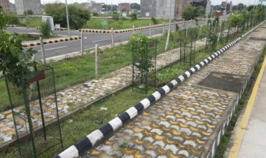 हरित महाकुम्भ : डेढ़ लाख पौधों से महाकुम्भ नगर बन रहा स्पेशल हाईडेंसिटी ऑक्सीजन फॉरेस्ट