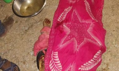 कोरबा में पिकअप वाहन पलटने से मासूम की मौत, 25 लाेग घायल