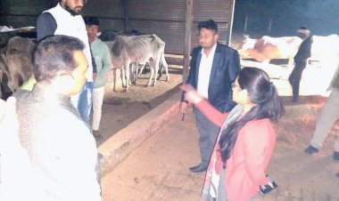 देर रात एसडीएम ने गौशालाओं का किया निरीक्षण 