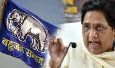 -उपचुनाव में भी मिली करारी हार,पार्टी खोती जा रही जनाधार