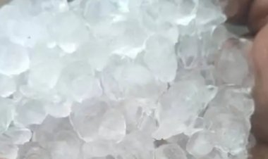 मौसम का मिजाज बदला,कोहरे के साथ बढ़ी ठिठुरन