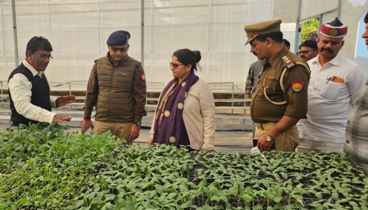 मीरजापुर के खेतों में लहलहाएगा राजस्थान का खजूर