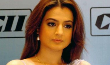 समझौते में मिले चेक बाउंस होने पर अभिनेत्री अमीषा पटेल पर फिर कार्रवाई करेगी ड्रीम विजन इवेंट कंपनी