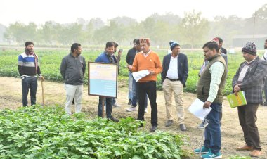 आलू को रोग से बचाने के लिए टेबुकोनाजोल का छिड़काव करें किसान