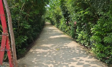 प्रयागराज महाकुम्भ 2025 में आने वाले श्रद्धालुओं को मिलेगी शुद्ध और स्वच्छ वायु