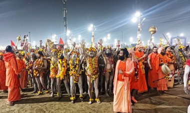 रूस, जर्मनी, फ्रांस, इजरायल और इटली भेजी गई महाकुम्भ की 10 हजार अमिट निशानी