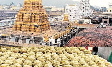 तिरूपति में टेम्पल एक्सपो का भव्य उद्घाटन समारोह