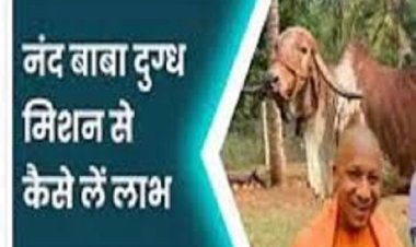 योगी सरकार पशुपालकों की आर्थिक स्थिति मजबूत करने को दे रही अनुदान, मांगा आवेदन