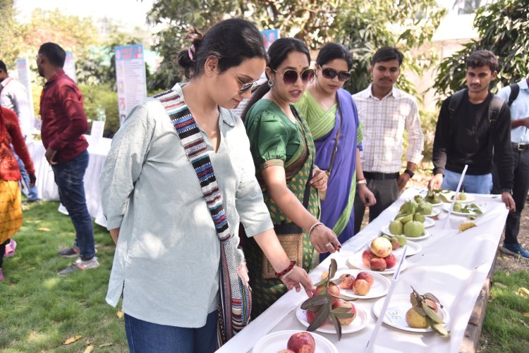 महाकुम्भ : अमरूद महोत्सव में एप्पल कलर प्रजाति के अमरुद का दिखा जलवा