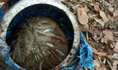 नारायणपुर के गट्टाकाल जंगल में जवानाें ने पांच किलो का कुकर आईईडी बरामद कर किया निष्क्रिय