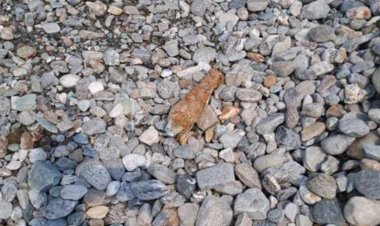 सेना का मोर्टार शेल बरामद, इलाके में दहशत