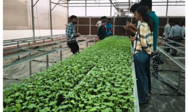 हाईटेक एवं गुणवत्तायुक्त नर्सरी संचालन का विद्यार्थियों ने सीखा हुनर