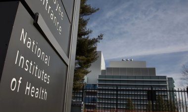 अमेरिकी संघीय जज ने ट्रंप प्रशासन के NIH अनुदान रद्द करने के फैसले को अवैध ठहराया, राष्ट्रपति को बड़ा झटका