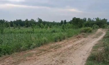 35 हेक्टेयर सरकारी भूमि से हटेगा कब्जा, हाईकोर्ट के आदेश
