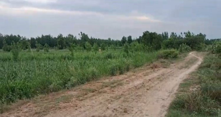 35 हेक्टेयर सरकारी भूमि से हटेगा कब्जा, हाईकोर्ट के आदेश