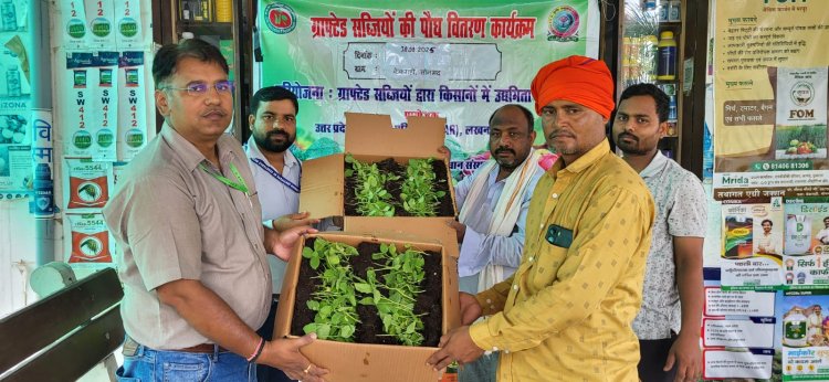 भारतीय सब्जी अनुसंधान संस्थान के वैज्ञानिकों ने किसानों में बांटे ग्राफटेड बैंगन के पौधे