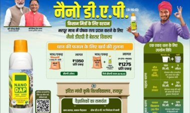 नैनो डीएपी किसानों के लिए ठोस डीएपी उर्वरक का स्मार्ट विकल्प