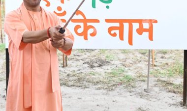 हमने आठ साल में लगाए 204 करोड़ पौधे, 5 लाख एकड़ में हुआ वनाच्छादन : योगी आदित्यनाथ