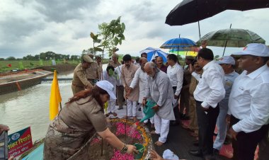 नून नदी तट पर बारिश के बीच हुआ वृहद वृक्षारोपण