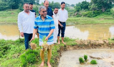 झारखंड की धरती से जुड़े बाबूलाल मरांडी ने खेत में की धान रोपनी, सोशल मीडिया पर वायरल हुई कृषि कर्म की तस्वीर