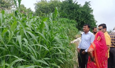 वाराणसी के सेवापुरी में उप निदेशक ने किया जैविक क्लस्टरों का स्थलीय निरीक्षण