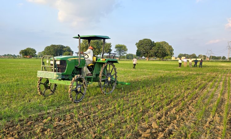 खेतों में खरपतवार नियंत्रण की दिशा में इरी वैज्ञानिकों की पहल