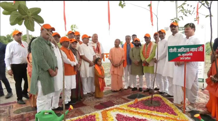 वृक्षारोपण महाअभियान 2025: यूपी में 5 घंटे में लग गए 16 करोड़ पेड़