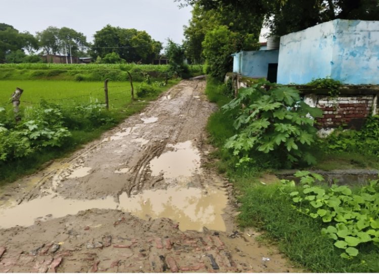 ग्राम पंचायत सेहुदपुर में गंदगी और जलभराव से ग्रामीण बेहाल