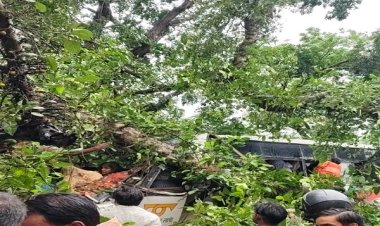 यूपी के बाराबंकी में चलती रोडवेज बस पर गिरा पेड़, पांच की माैत व चार गंभीर