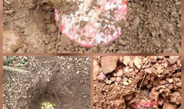 नक्सलियों द्वारा लगाए गए पांच आईईडी को क‍िया गया निष्क्रिय