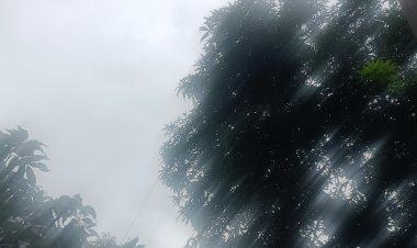 उत्तराखंड के कुछ जिलों में मूसलाधार बारिश जारी, नदियां उफान पर