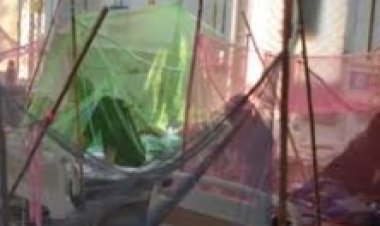 वाराणसी में डेंगू का मरीज मिलने से बढ़ी सतर्कता