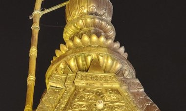 बाबा विश्वनाथ की सप्त ऋषि आरती में सफेद उल्लू भी लगाता है हाजिरी, स्वर्ण शिखर पर रहता है विराजमान