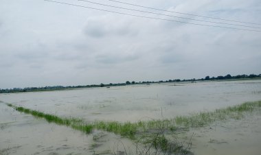 हमीरपुर में बाढ़ की जद में फिर आए दर्जनों गांव