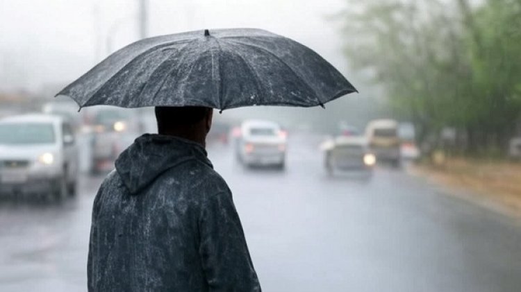 मध्‍य प्रदेश के 14 जिलों में आज तेज बारिश का अलर्ट, अगले तीन दिन रहेगी सिस्टम की एक्टिविटी