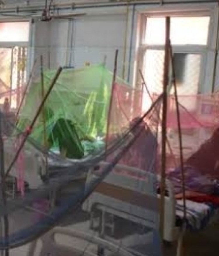 वाराणसी में डेंगू का मरीज मिलने से बढ़ी सतर्कता