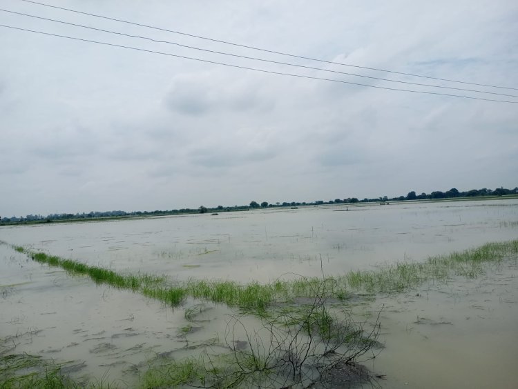 हमीरपुर में बाढ़ की जद में फिर आए दर्जनों गांव