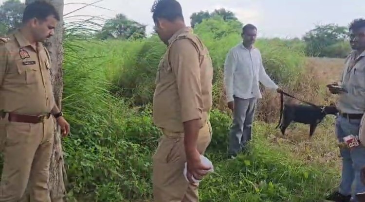 बकरी चराने गई बालिका की गला दबाकर हत्या, शव खेत में मिला