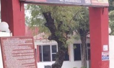 घर के पीछे पेड़ से लटका मिला युवक का शव