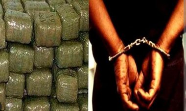 एण्टी नारकोटिक्स टास्क फोर्स के हत्थे चढ़े दो तस्कर, 51 लाख का गांजा बरामद