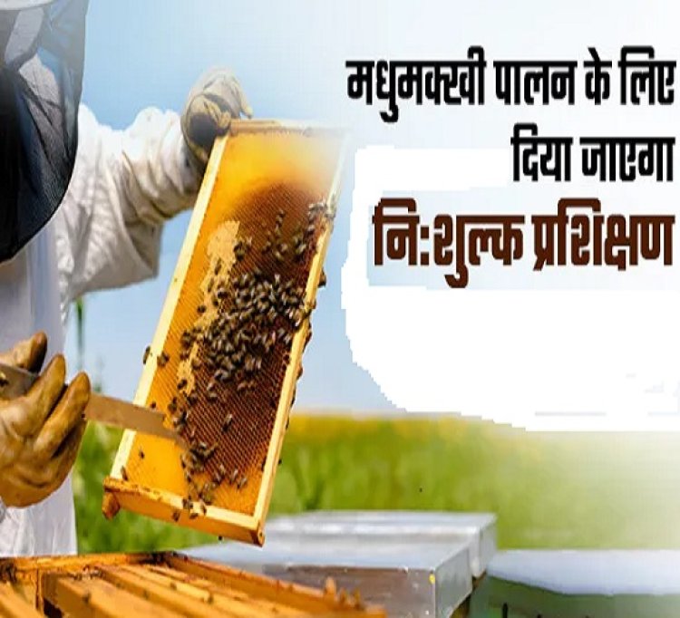 नब्बे दिवसीय मधुमक्खी पालन नि:शुल्क प्रशिक्षण कराने को उद्यान विभाग ने मांगा आवेदन
