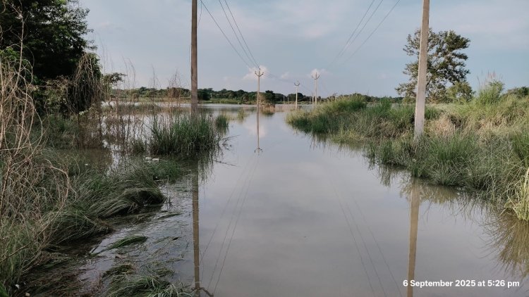खतरे के निशान से ऊपर पहुंचकर स्थिर हुआ यमुना का जलस्तर