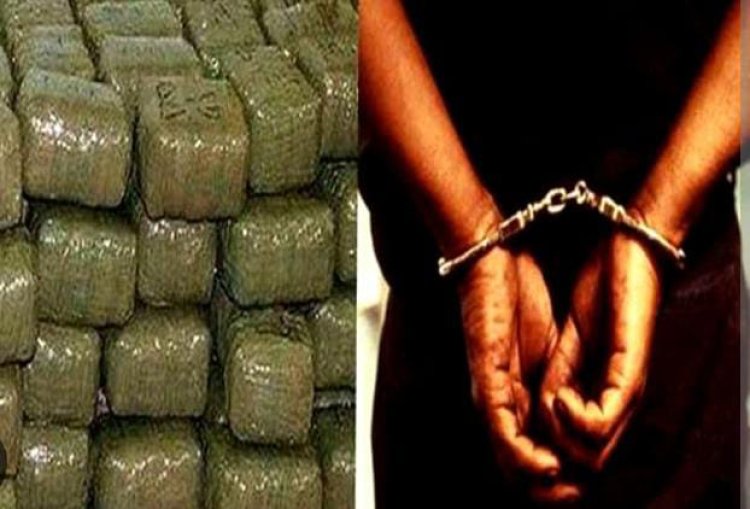 एण्टी नारकोटिक्स टास्क फोर्स के हत्थे चढ़े दो तस्कर, 51 लाख का गांजा बरामद