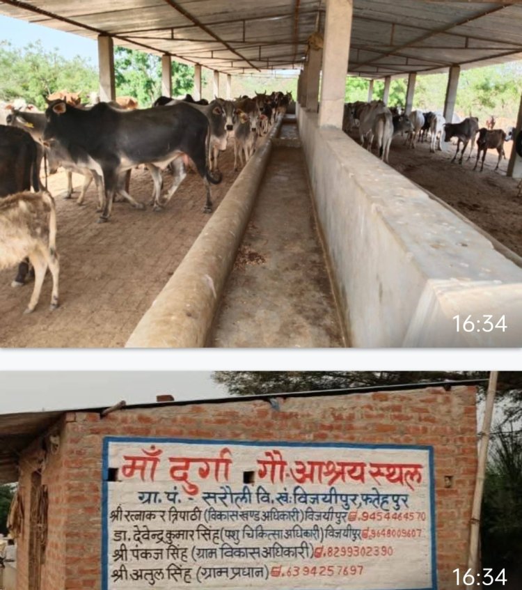 सीडीओ ने दिए सभी गौशालाओं के जांच के दिए निर्देश