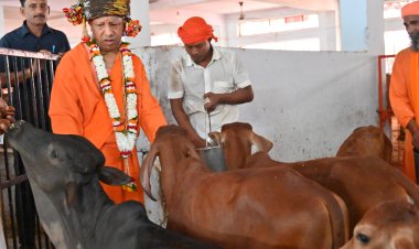 विजयादशमी पर गोपूजन कर मुखयमंत्री योगी ने की गौसेवा